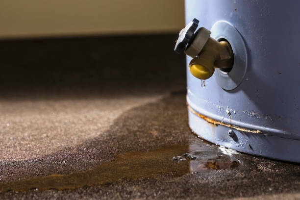 Best Local water damage restoration  in Rowland, NC