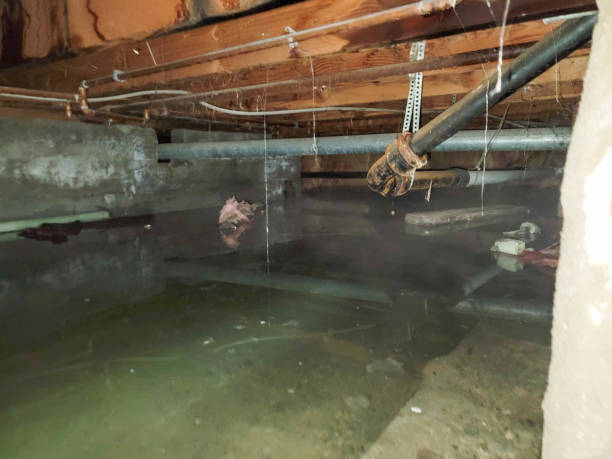 Best 24-hour water damage restoration  in Rowland, NC