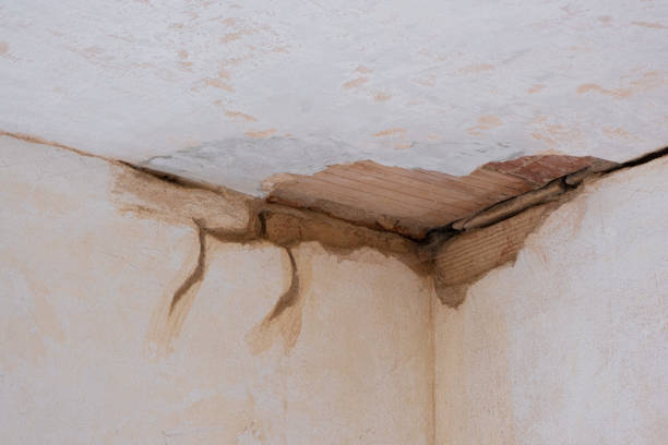 Best Water damage mitigation services  in Rowland, NC
