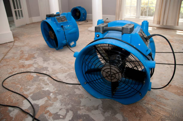  Rowland, NC Water damage restoration Pros