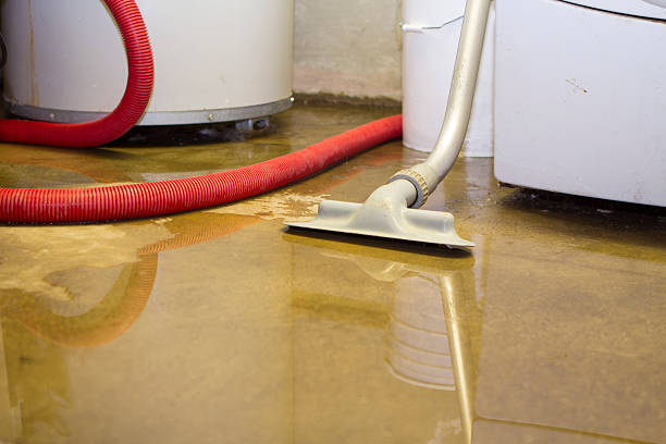 Best Professional water damage repair  in Rowland, NC